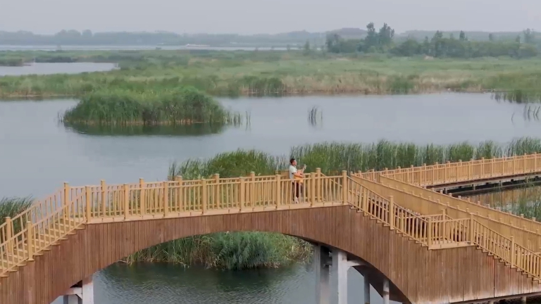 逛雄安VLOG丨與一位“護鳥大使”的特別會面